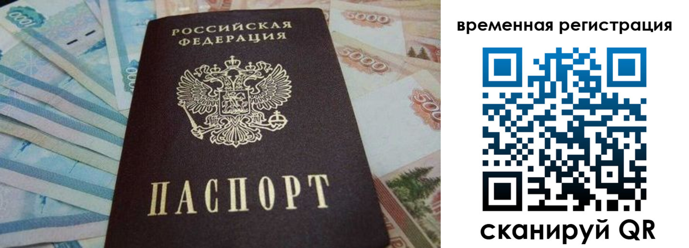 временная регистрация гарантия в Воронежской области